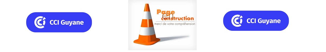 page article ccig en construction