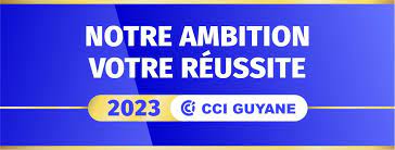 CCI G AMBITION REUSSITE 2023.jpg VOEUX CCI 2023