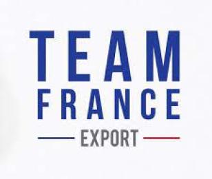 Team F export 